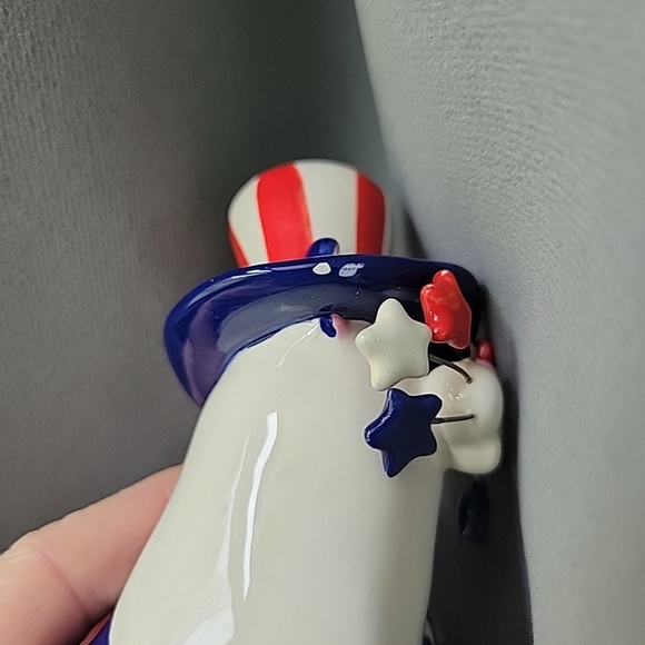 Patriotic Cat - Picture 13 of 13